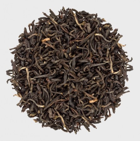 Borpatra