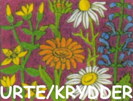 Urte-/krydder-te - forundringspakke